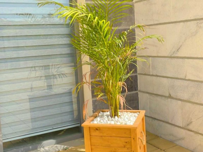 whatsapp-image-2023-02-05-at-20_optimized.23.41-(3) (2)